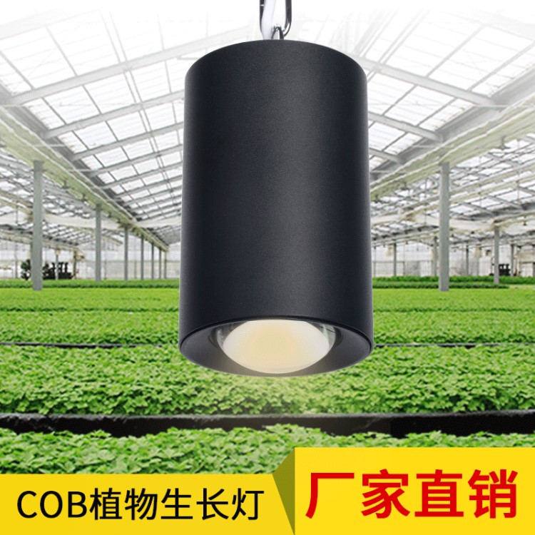 植物生长灯COB大棚室内太阳光补光灯LED全光谱蔬菜花卉水果种植灯