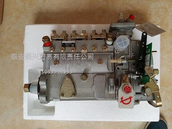 玉柴6105QC發(fā)動(dòng)機(jī)高壓油泵 衡陽油泵總成 B6A17 原廠低價(jià)供應(yīng)