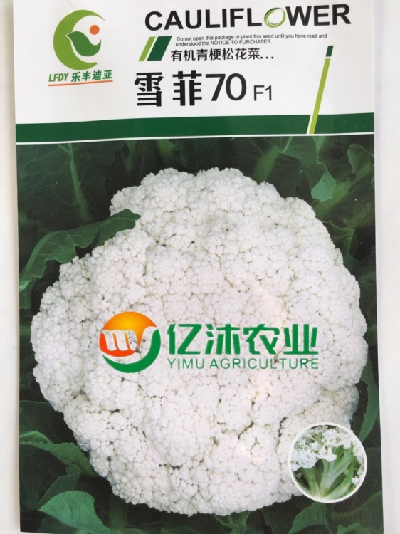 有機(jī)青梗松花菜種子雪菲70松花產(chǎn)量高抗性強(qiáng)定植70天可采收2千粒