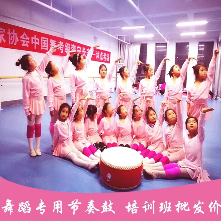 舞蹈鼓成人牛皮大紅兒童樂器大中國紅龍鼓民族表演威風道具新年鼓