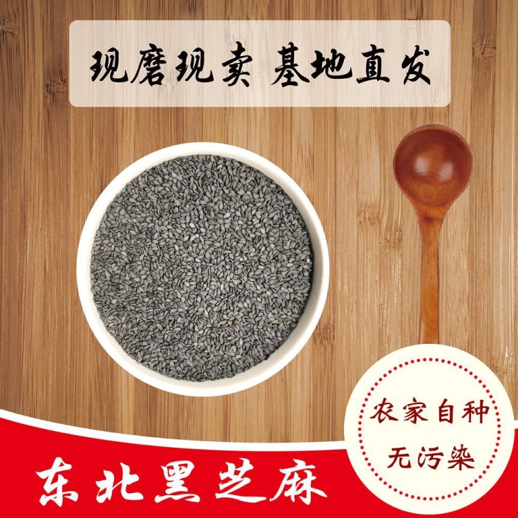 2019東北農(nóng)家黑芝麻特產(chǎn)黑芝麻500g 營養(yǎng)雜糧食補(bǔ)黑芝麻