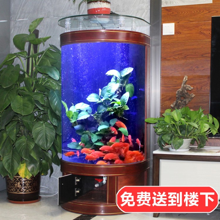 歐式半圓形魚缸生態(tài)玻璃客廳家用水族箱中型創(chuàng)意靠墻金魚缸0.8米