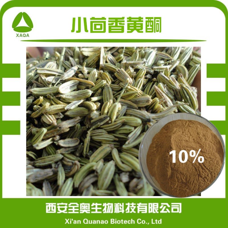 源头厂家小茴香黄酮10%小茴香提取物 谷茴香/小茴香黄酮 现货包邮