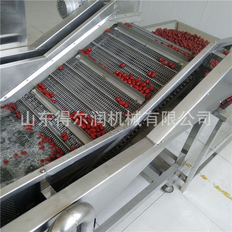行唐大棗清洗機 紅棗加工成套設備 保持口感 質量 得爾潤機械