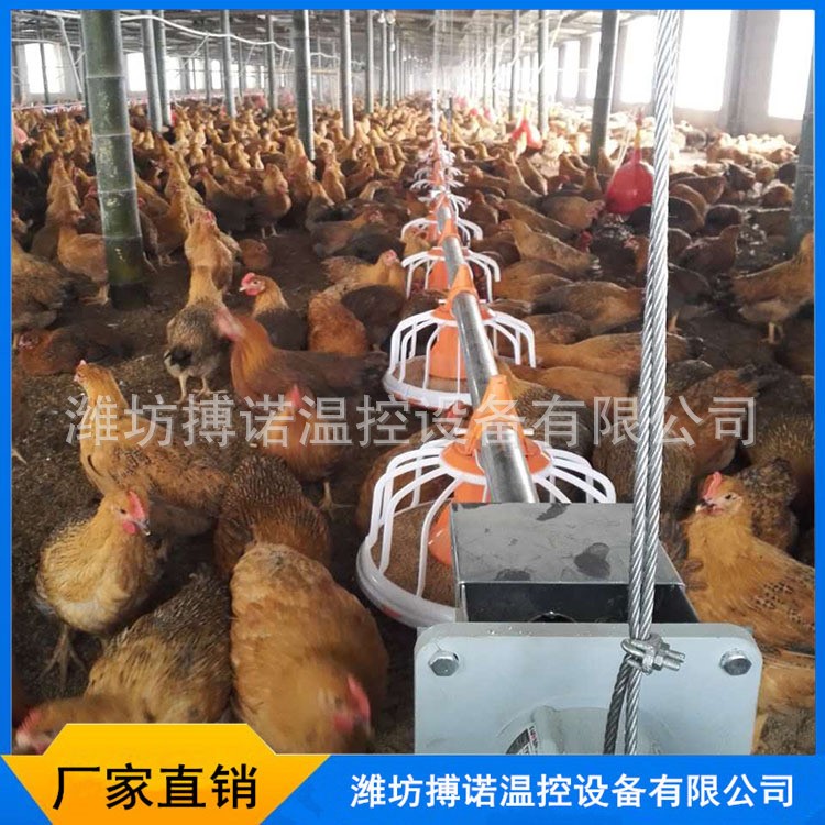 養(yǎng)雞場自動喂料機 養(yǎng)雞自動化料線 養(yǎng)雞自動化設(shè)備