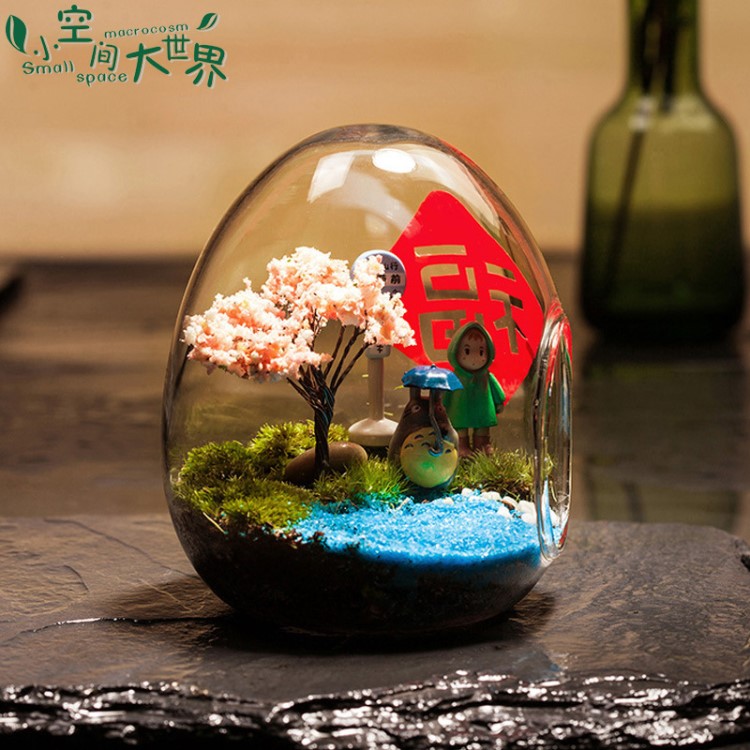 苔藓微景观 创意礼品 盆景DIY创意植物蛋形绿植礼品造景瓶