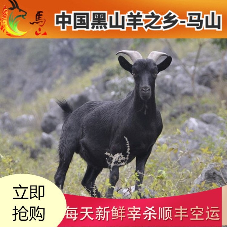 廣西馬山黑山羊農家散養(yǎng)帶皮羊肉羊排肉腿羊肉黑山新鮮3斤裝