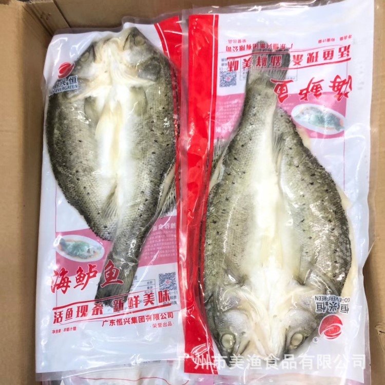 開背恒興海鱸魚 深海鱸魚鱸魚 海鮮水產(chǎn)海魚 野生鱸魚800-900g/條