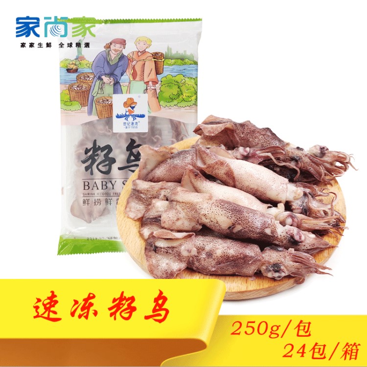 冷凍加州魷魚 小魷魚 筆管魚 籽烏 精糕魷魚 高含籽量 250g/盒