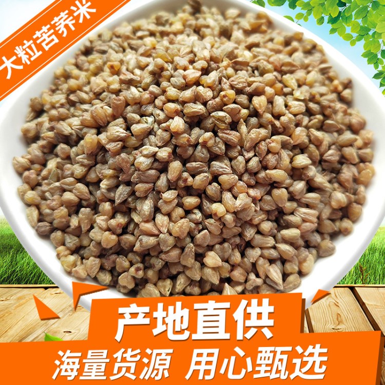 大?？嗍w米 優(yōu)選苦蕎麥仁珍珠粒黑苦蕎?？嗍w茶面原料雜糧批發(fā)