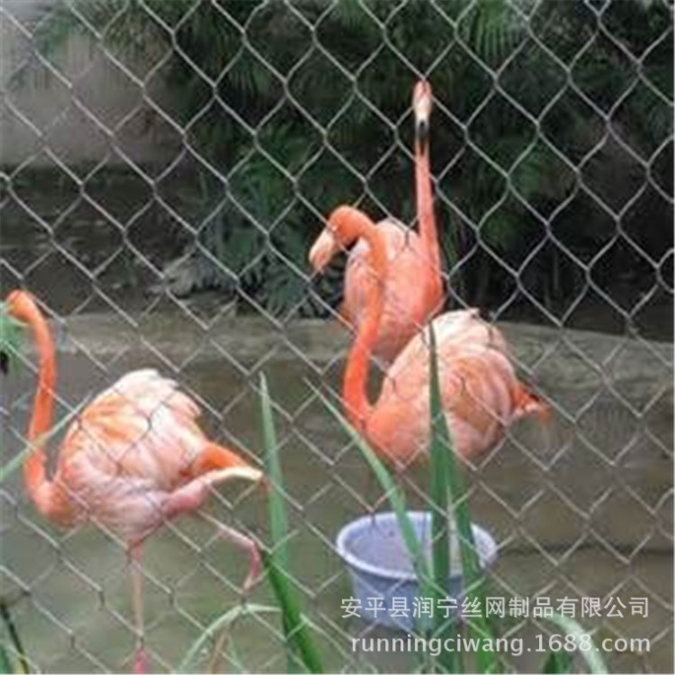 大型養(yǎng)鳥網(wǎng)304不銹鋼鋼絲繩網(wǎng)動(dòng)物園用網(wǎng)