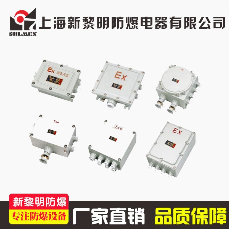 新黎明BDH系列防爆鎮(zhèn)流器 內(nèi)裝金鹵燈鎮(zhèn)流器70-400W 國(guó)標(biāo)