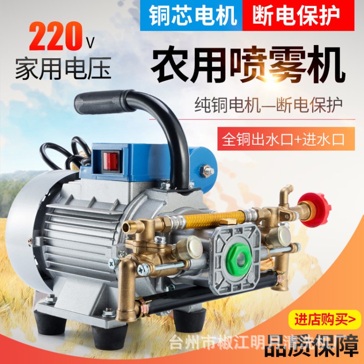 220V手提式打藥機(jī)噴藥機(jī)電動(dòng)農(nóng)用果樹噴霧器高壓園林柱塞泵農(nóng)用機(jī)