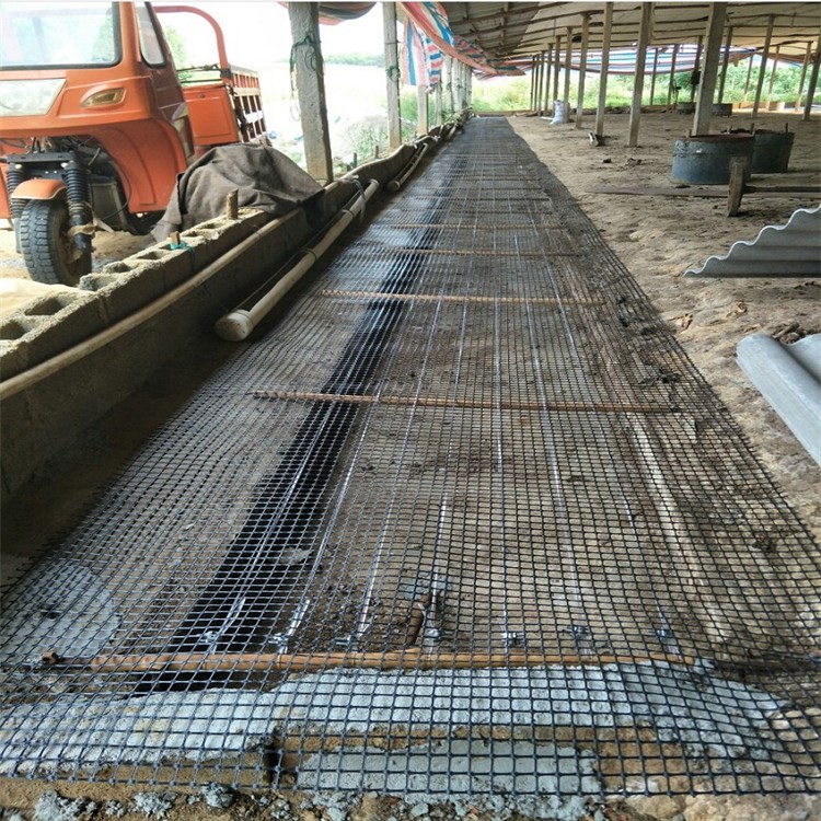 雙向塑料土工格柵路基加筋塑料格柵網公路路面玻纖土工格柵單向