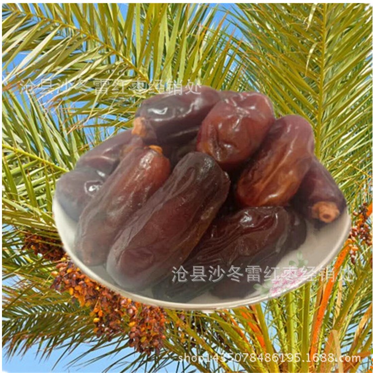 伊朗黑椰棗大個(gè)椰棗500克裝五件包郵批發(fā)零食干果