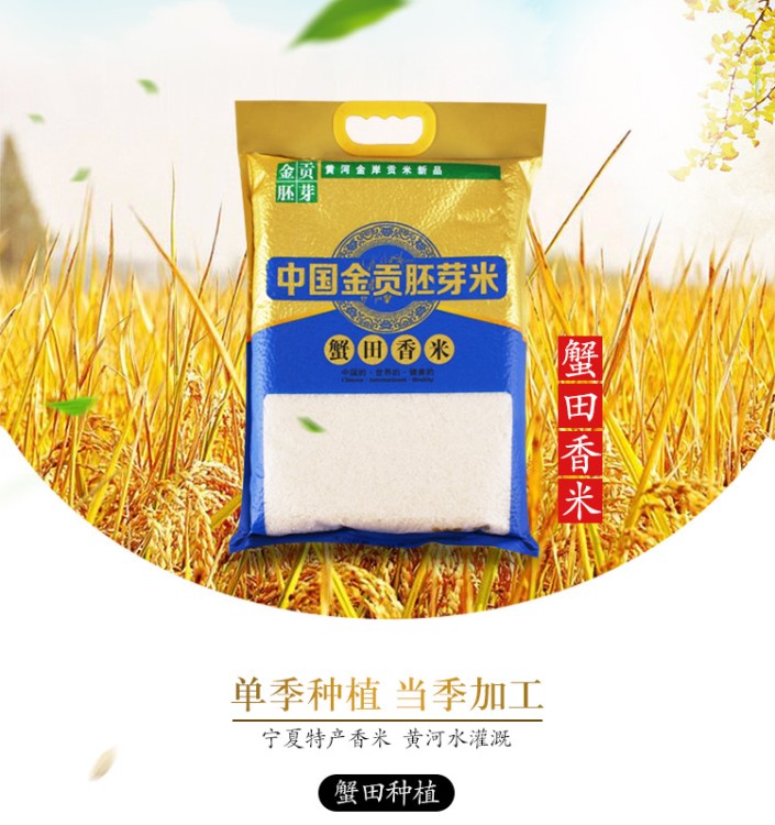 寧夏2019新大米非東北大米中國(guó)金貢胚芽米蟹田香米10kg真空包郵
