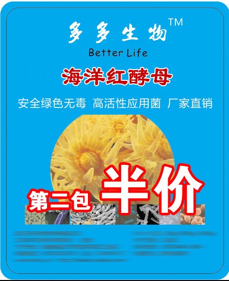 海洋紅酵母 水產養殖 海參親貝育苗 生物飼料添加 第二包半價100g