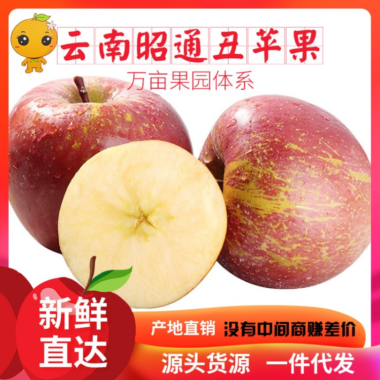 現(xiàn)貨云南昭通丑蘋果冰糖心丑八怪脆甜非野生 一件代發(fā)現(xiàn)摘現(xiàn)發(fā)