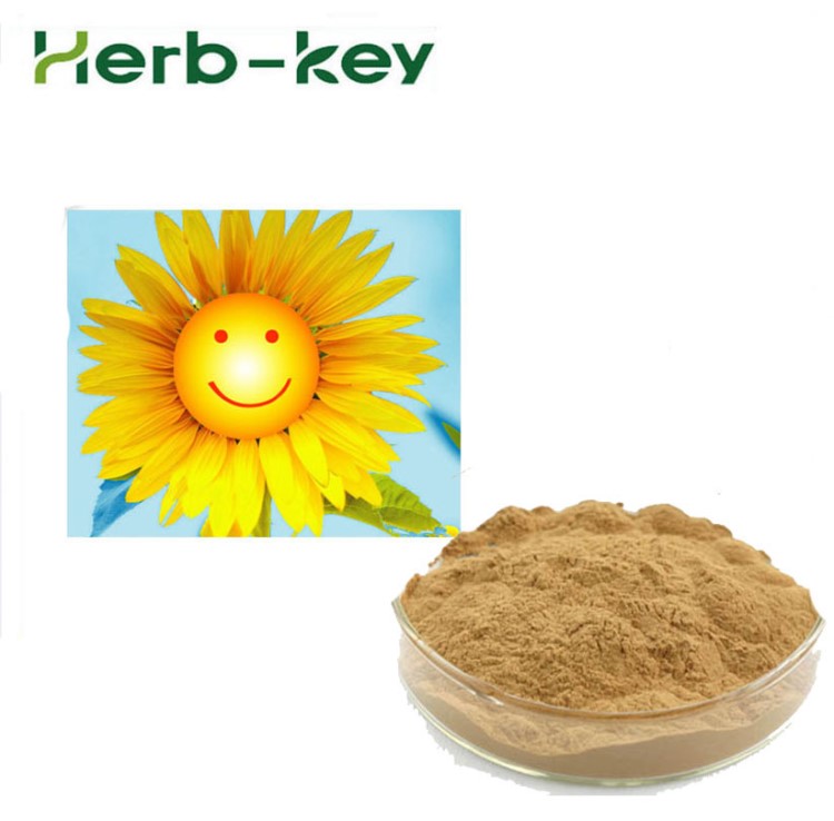 陜西慧科 葵花提取物10：1 葵花粉 向日葵提取物 陜西慧科
