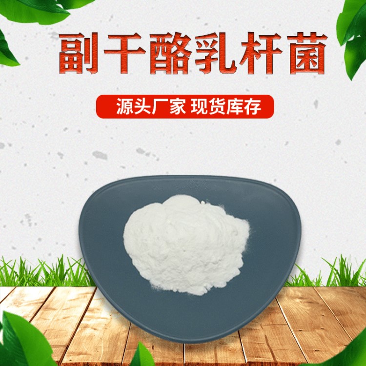 副干酪乳桿菌 乳酸菌 腸道益生菌 凍干型 益生菌 原菌粉