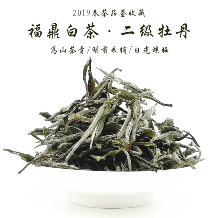 2019年高山日曬二級(jí)白牡丹散茶茶葉批發(fā) 原產(chǎn)地廠家直銷福鼎白茶