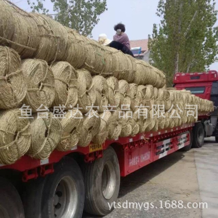 基地銷售各種規(guī)格草繩 稻草繩 護(hù)林捆扎草繩 歡迎致電【圖】