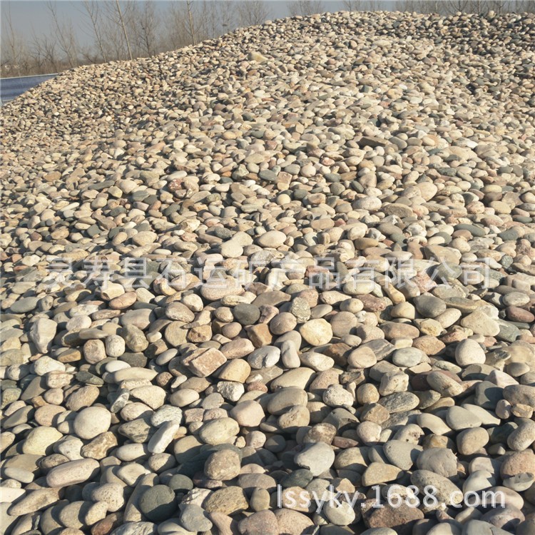 大量供应鹅卵石 变压器 园林景观 水处理滤料专用鹅卵石河卵石