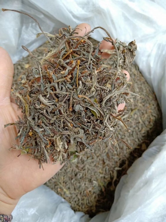 2019新茶供應(yīng)老鷹茶老蔭茶老鷹茶品質(zhì)一件代發(fā)