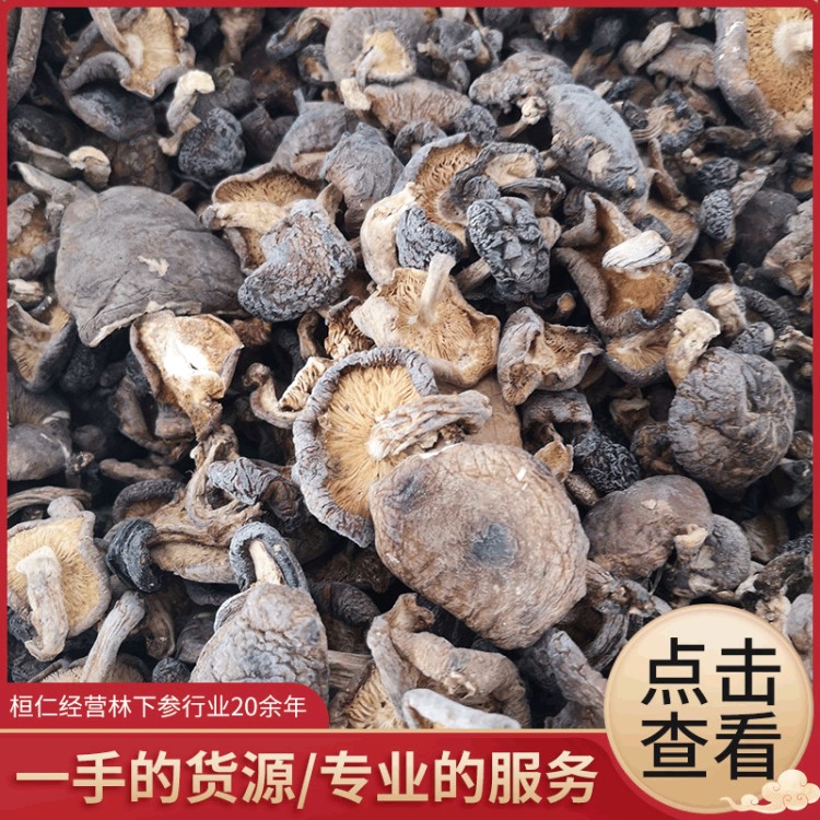 產(chǎn)地批發(fā)精選東北香菇 野生干香菇500g 東北特產(chǎn)食用菌