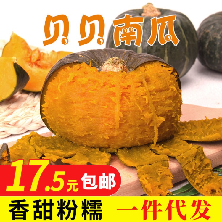 山東貝貝南瓜粉糯板栗香新鮮蔬菜迷你小南瓜寶寶輔食五斤一件代發(fā)