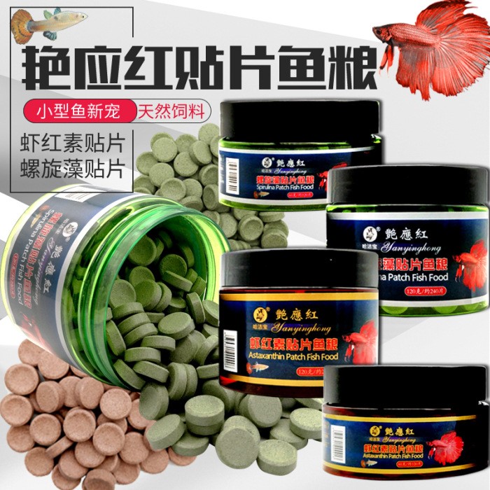 哈潔寶 艷應(yīng)紅觀賞魚貼片飼料 粘貼魚糧 小型魚下沉底熱帶魚食料