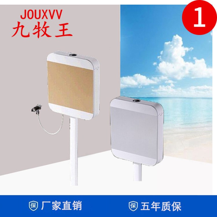 批发家用卫生间厕所冲水箱按钮abs材质蹲便器蹲坑式蹲厕马桶水箱