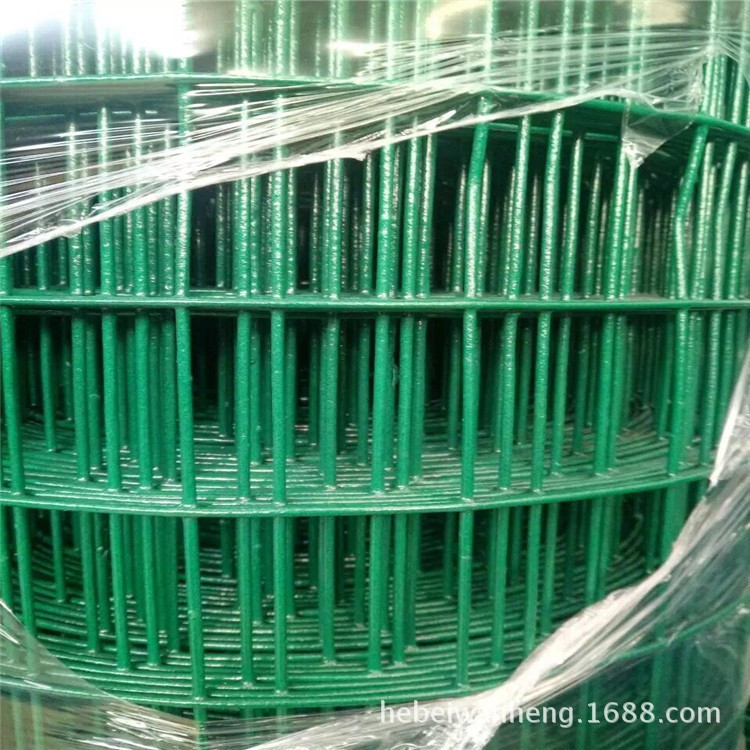 【現貨供應】鐵絲包塑荷蘭網@PVC粉末涂塑荷蘭網@浸塑養雞圍欄網