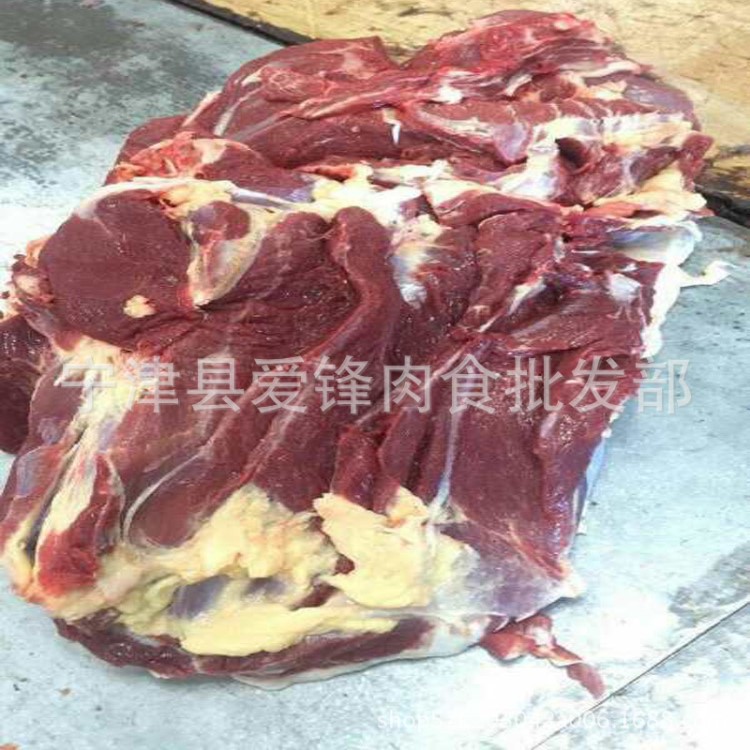 蒙古草原馬肉 新鮮前腿肉質(zhì)鮮美營(yíng)養(yǎng)豐富 冷凍馬前腿肉現(xiàn)殺