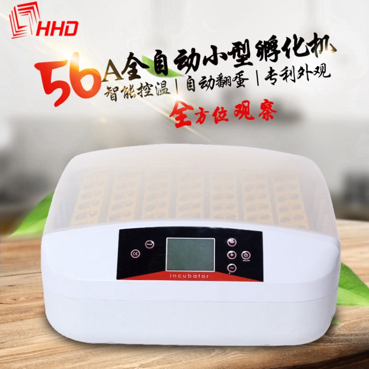 HHD 56枚LED顯示屏孵化器 透明上蓋可觀察孵化箱 鸚鵡鳥蛋