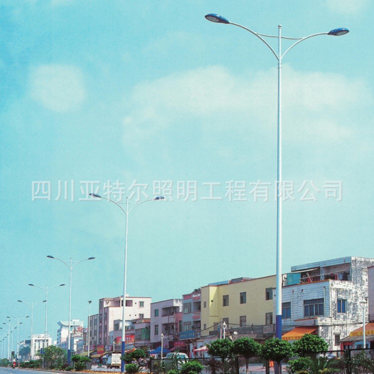 公司供應道路燈 國道 省道 高速公路 別墅區 廠區道路燈 量大從優