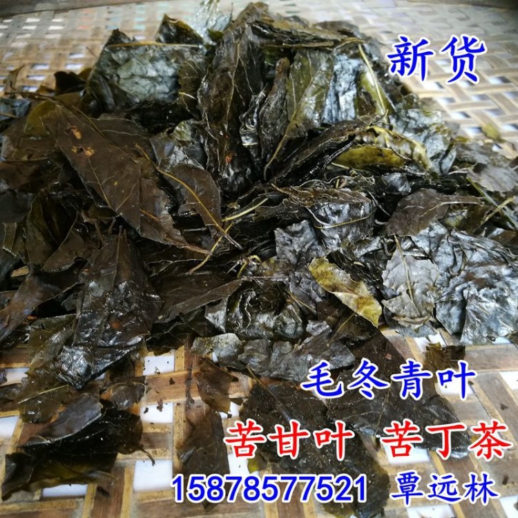 云南毛冬青茶 云南毛冬青批 花茶毛冬青羅漢果花 送廣告錄音