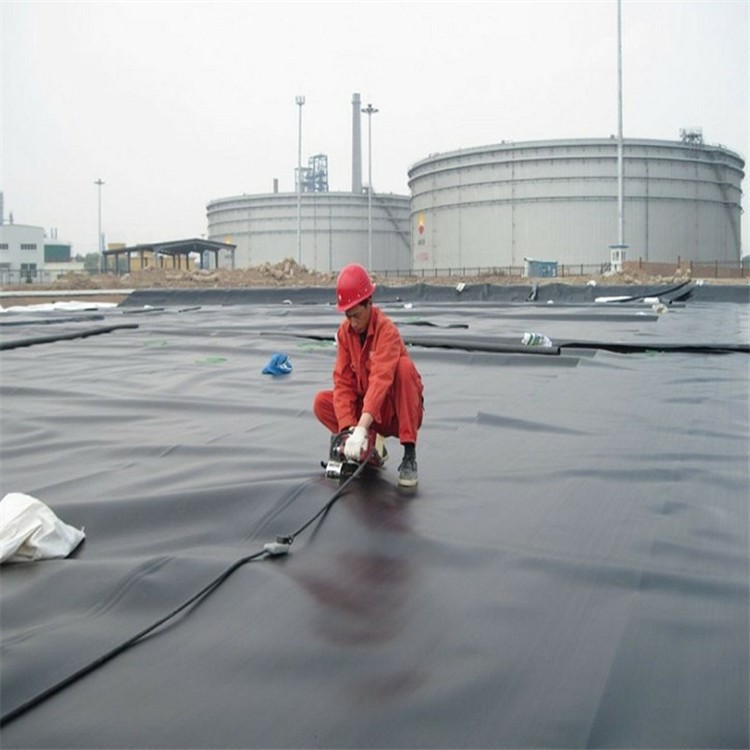 防水膜防渗水产养殖藕池污水防渗防水鱼塘水池黑色HDPE土工膜护坡