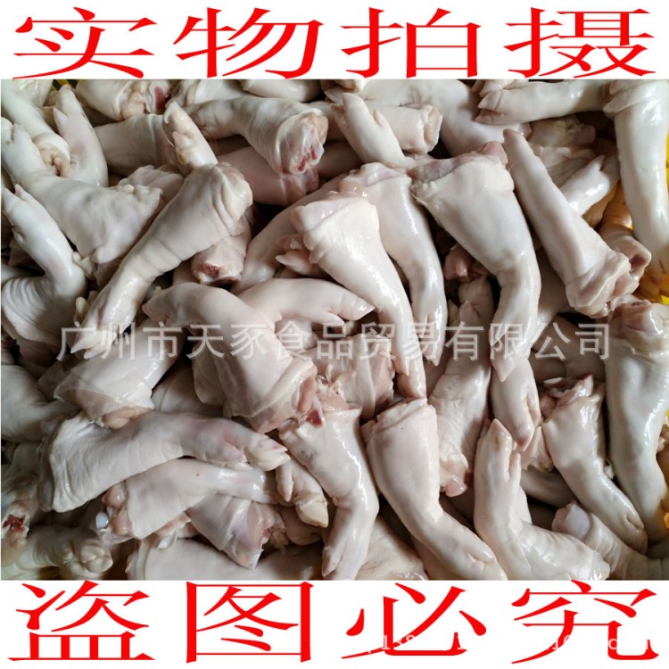 供應(yīng)鮮凍乳豬豬腳冷凍豬手冷凍豬蹄冷凍肉