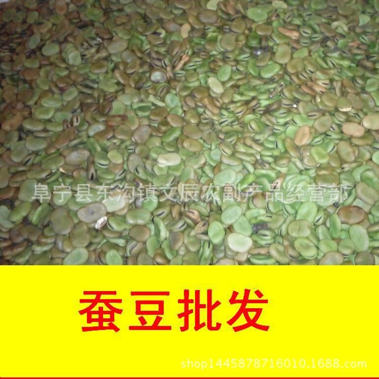 生干蠶豆批發(fā)  供食品廠(chǎng)豆瓣廠(chǎng)喂魚(yú)胡豆佛豆羅漢豆南豆豎豆類(lèi)