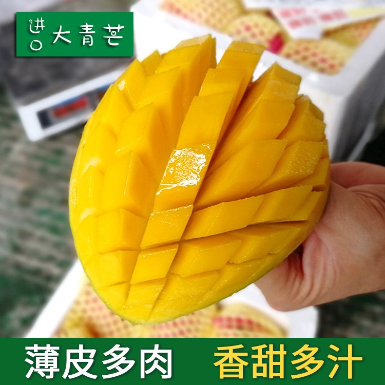 越南大青芒 精品甜嫩當(dāng)季熱帶當(dāng)季時令新鮮水果 非甜心玉芒ZH