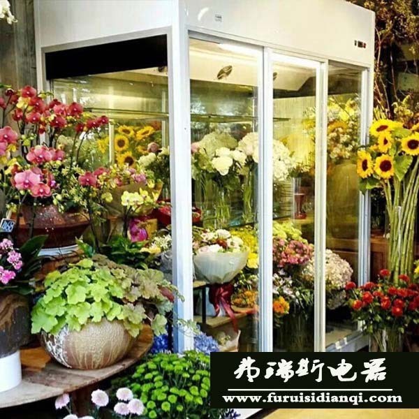 鮮花保鮮柜花店鮮花展示柜蛋糕甜點冷藏柜飲料展示柜立式貨架XH-L