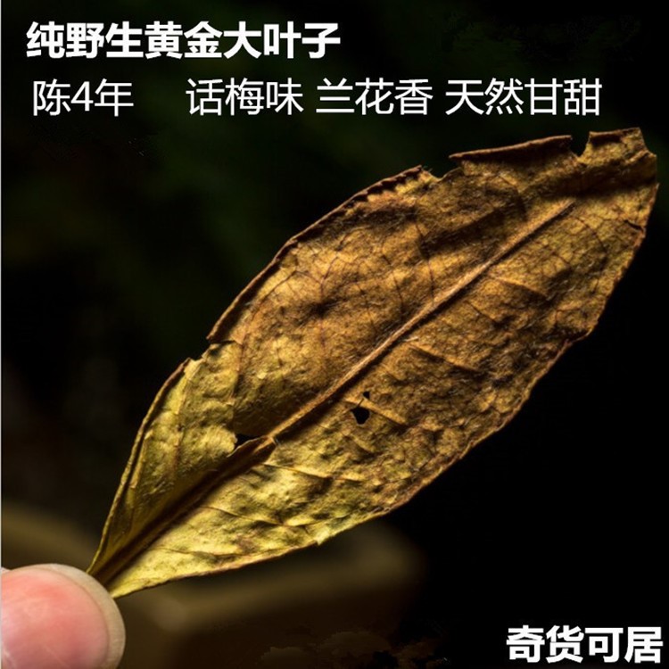 福鼎白茶 壽眉 野生黃金大葉子老白茶散茶高山白茶茶葉野生老白茶