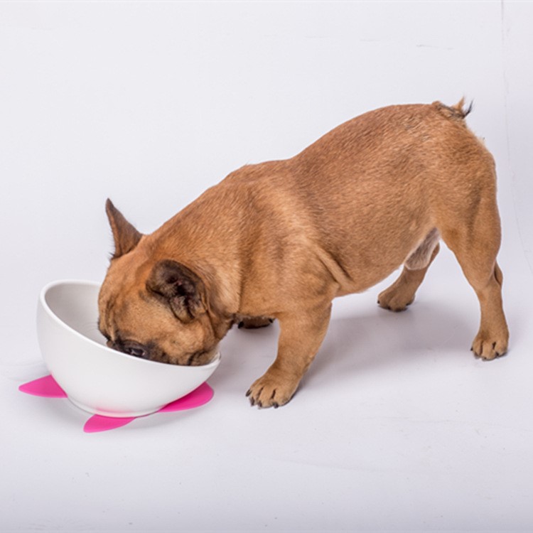 加大號陶瓷狗碗泰迪大型犬金毛薩摩哈士奇食盆狗盆寵物碗用品