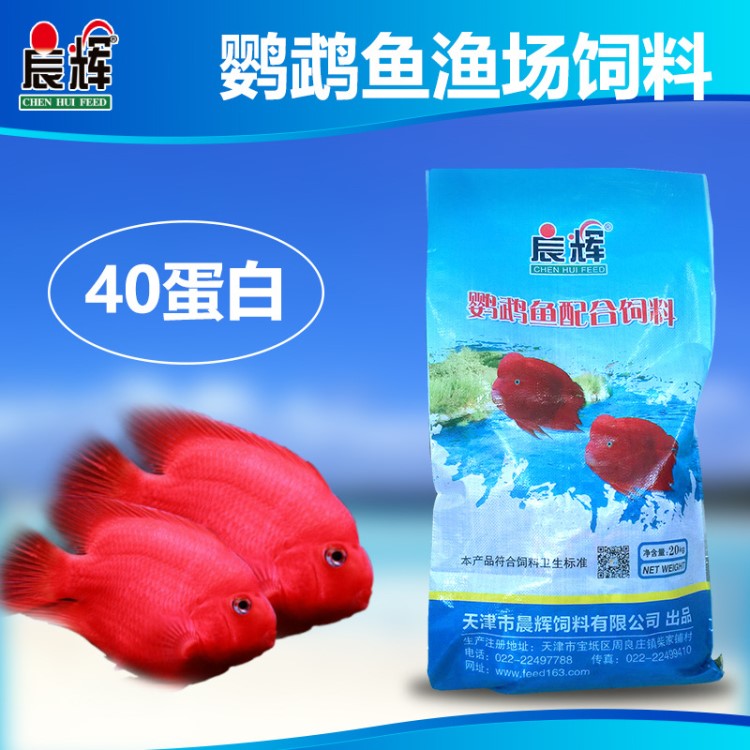 晨輝 鸚鵡魚漁場膨化飼料40蛋白20kg廠家直銷養(yǎng)殖專用鸚鵡魚飼料