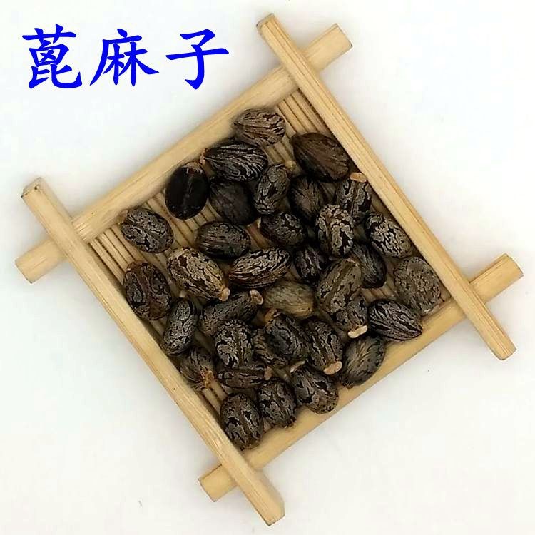 藥材 蓖麻仁 蓖麻籽 蓖麻子 干凈無雜質 量大從優(yōu) 長期大貨