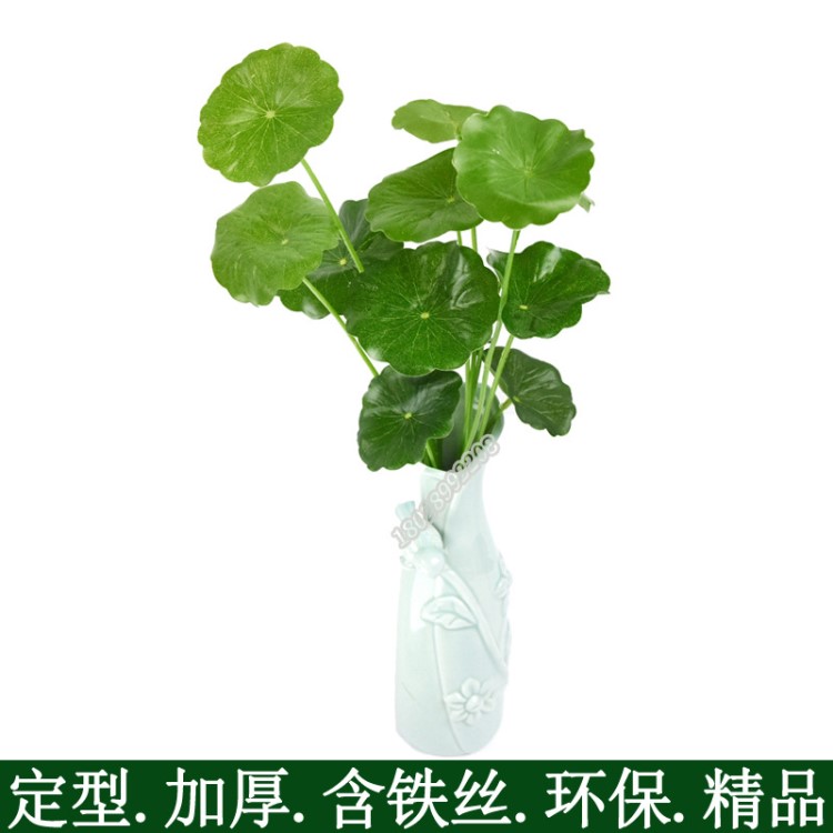 仿真綠植植物小荷葉 葉 銅錢草 仿真花盆景仿真荷葉 仿真綠葉