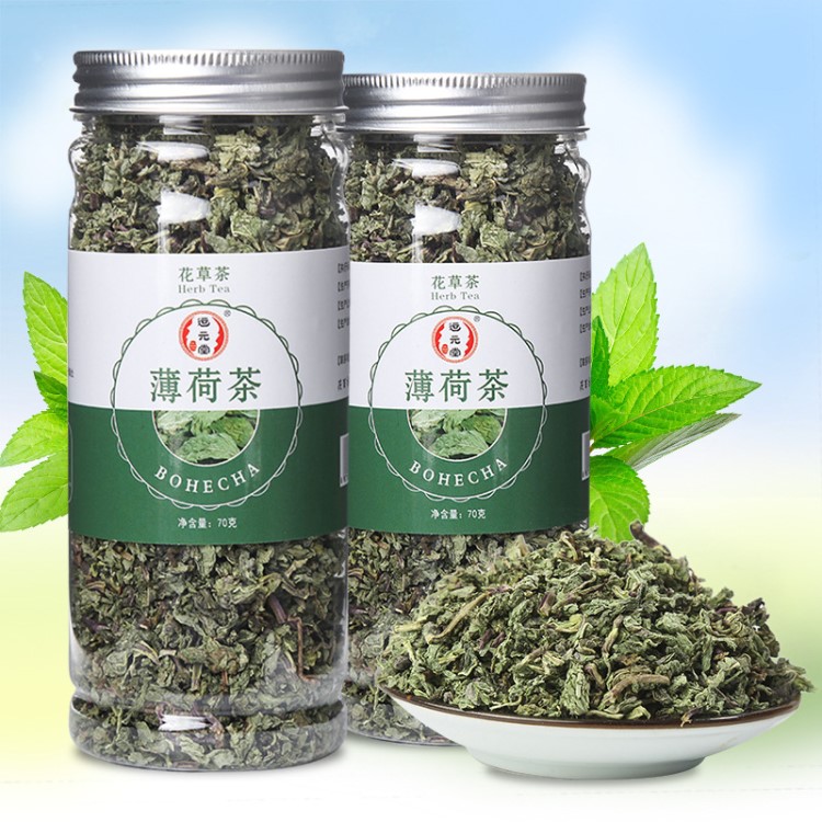 批发 薄荷叶 薄荷茶 薄荷颗粒茶 色青烘干 罐装花茶oem贴牌代加工