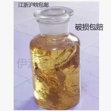 無鉛加厚密封廣口磨砂泡酒瓶藥酒瓶泡酒壇子散酒容器泡菜壇子