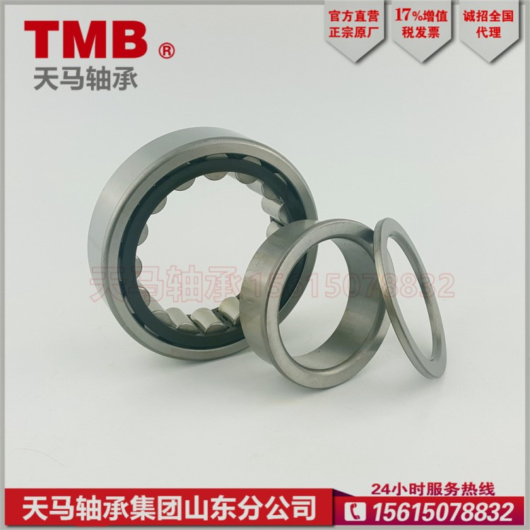 TMB/天馬軸承NUP313ECP 圓柱滾子軸承 減速機空壓機高溫尼龍耐用